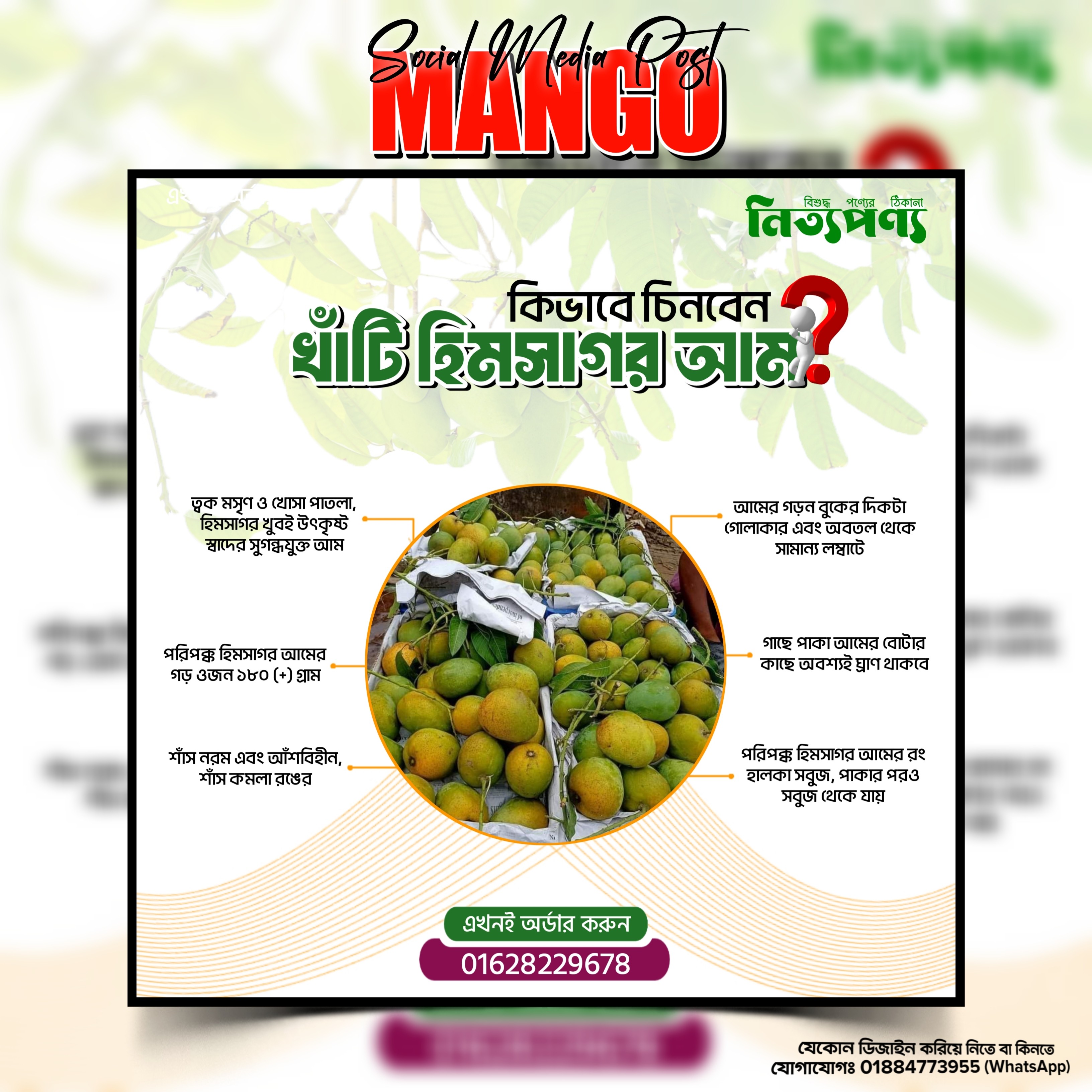 Mango Social Media Post design PLP file