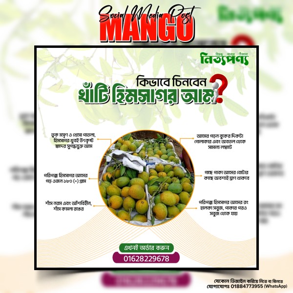 Mango Social Media Post design PLP file গ্রাফিক্স ডিজাইন ফাইল
