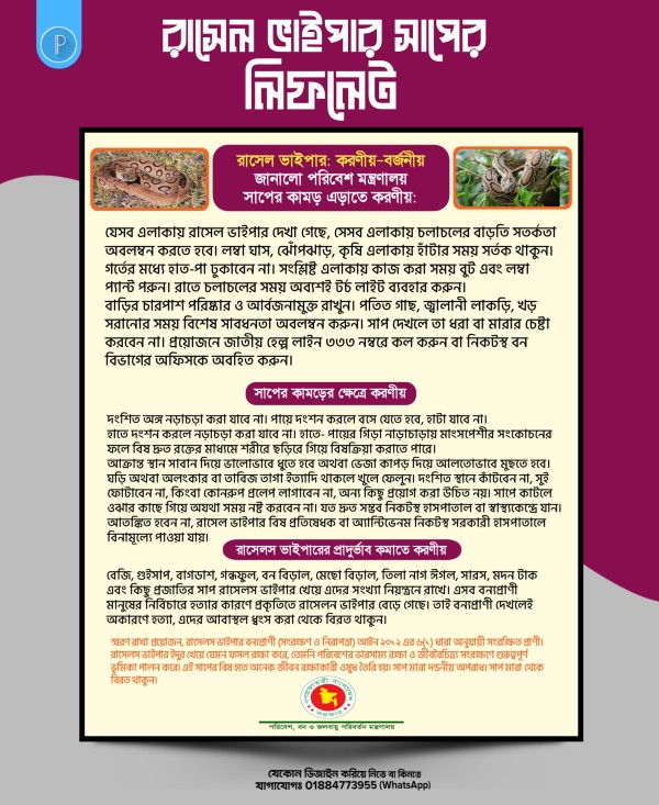 রাসেল ভাইপার সতর্কতা লিফলেট গ্রাফিক্স ডিজাইন ফাইল