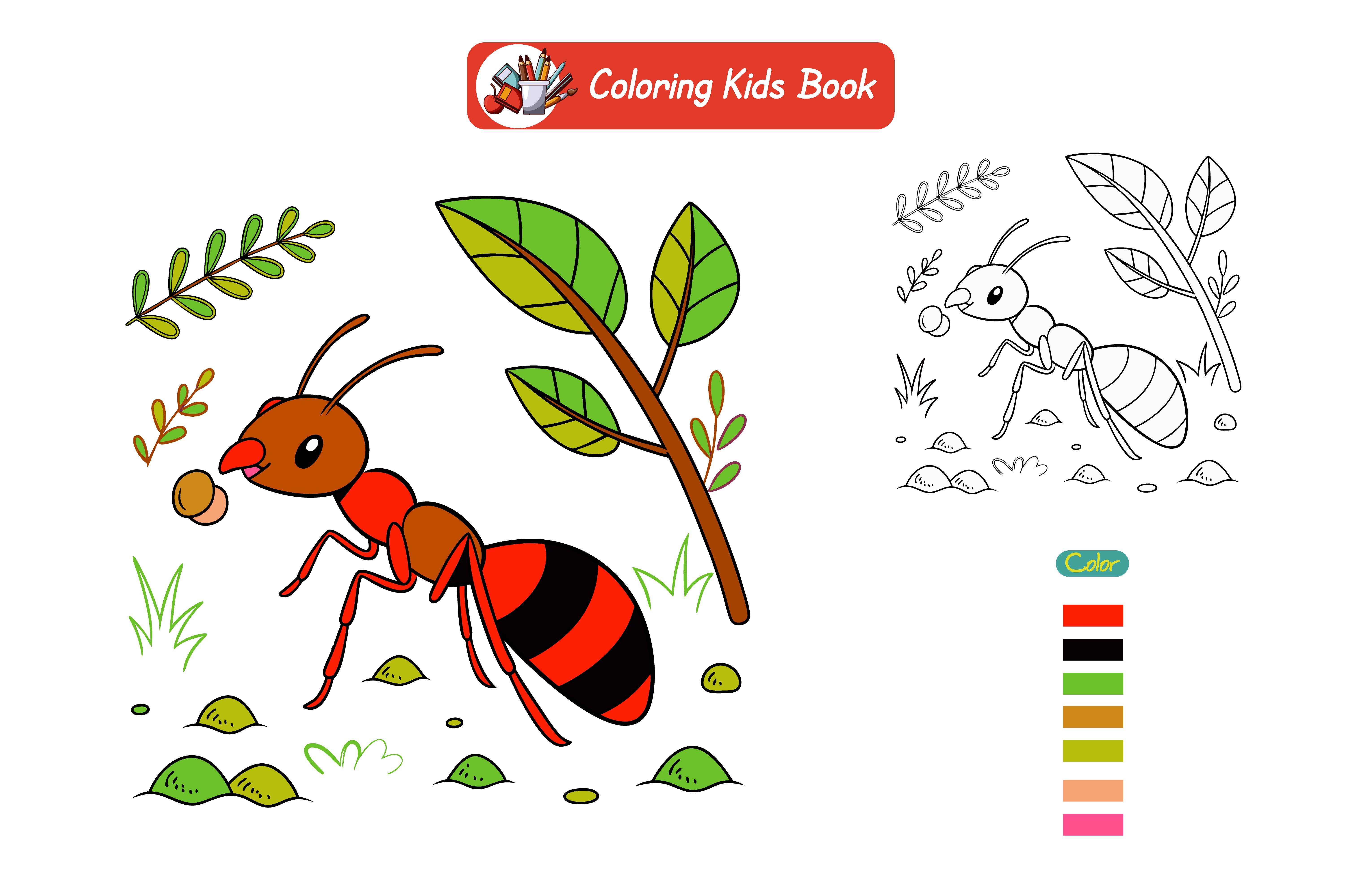 Coloring book for kids ant vector