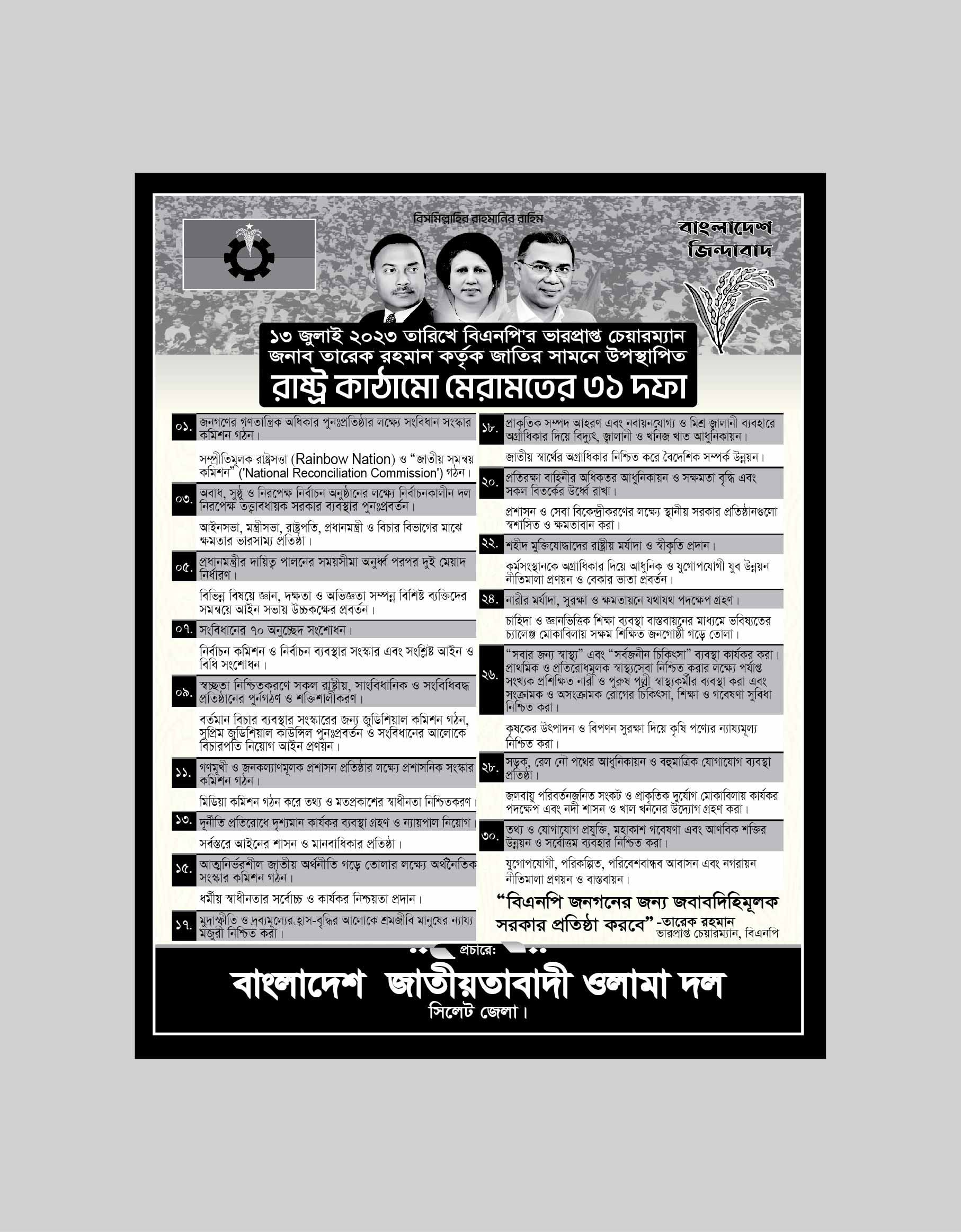 BNP ৩১ দফা লিফলেট ডিজাইন