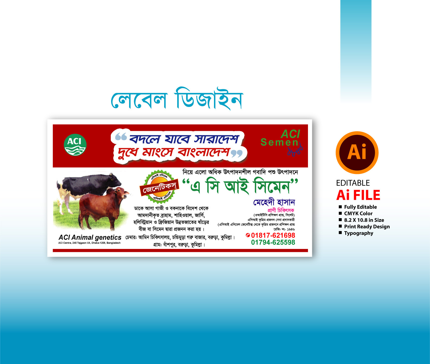 এসিআই সিমেন লেভেল ডিজাইন