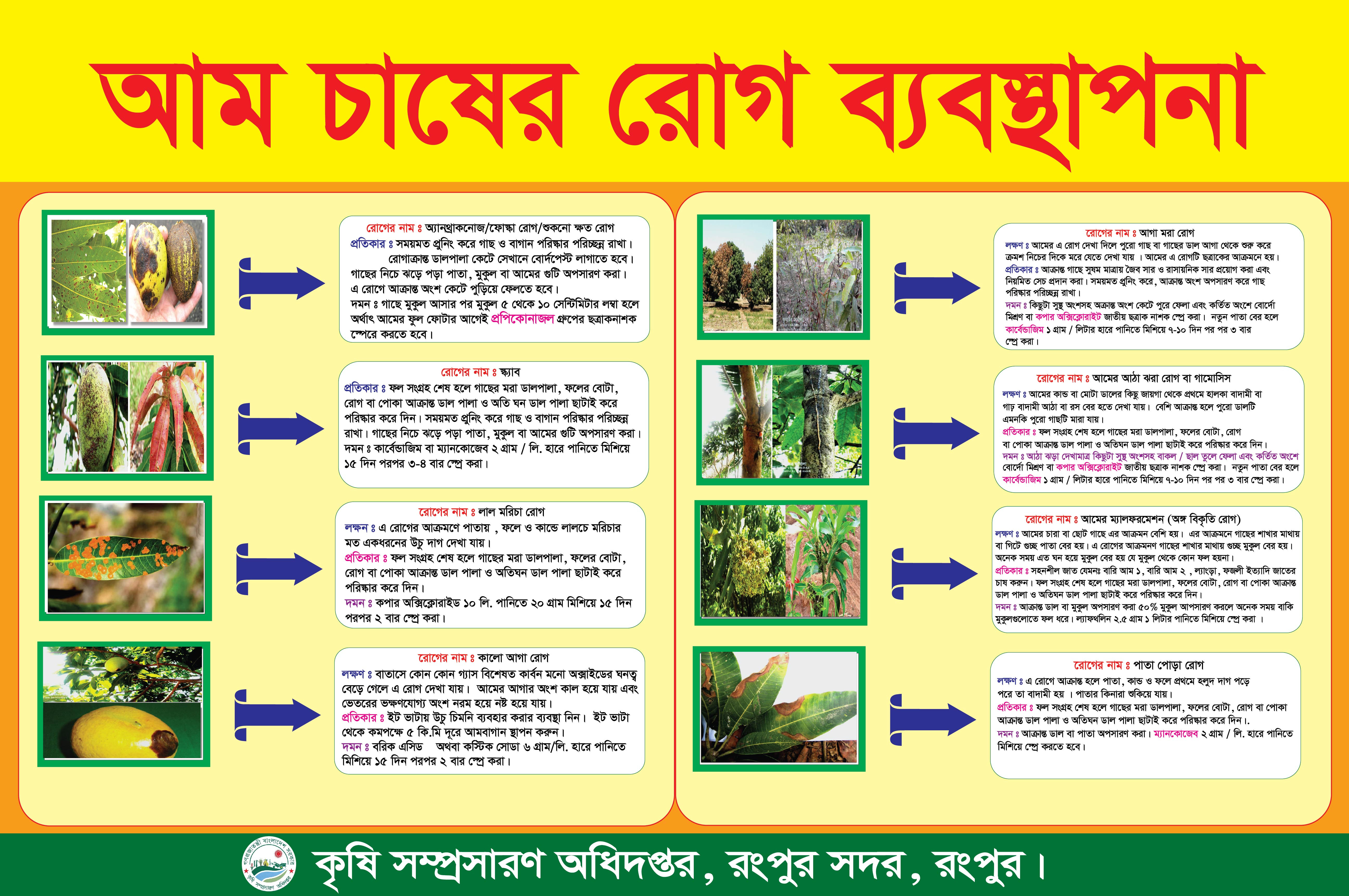 আম চাষের রোগ ব্যবস্থাপনা প্রতিরোধ ব্যানার