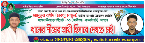 বিএনপির ধানের শীষের প্রার্থী হিসেবে দেখতে চাই ব্যানার গ্রাফিক্স ডিজাইন ফাইল