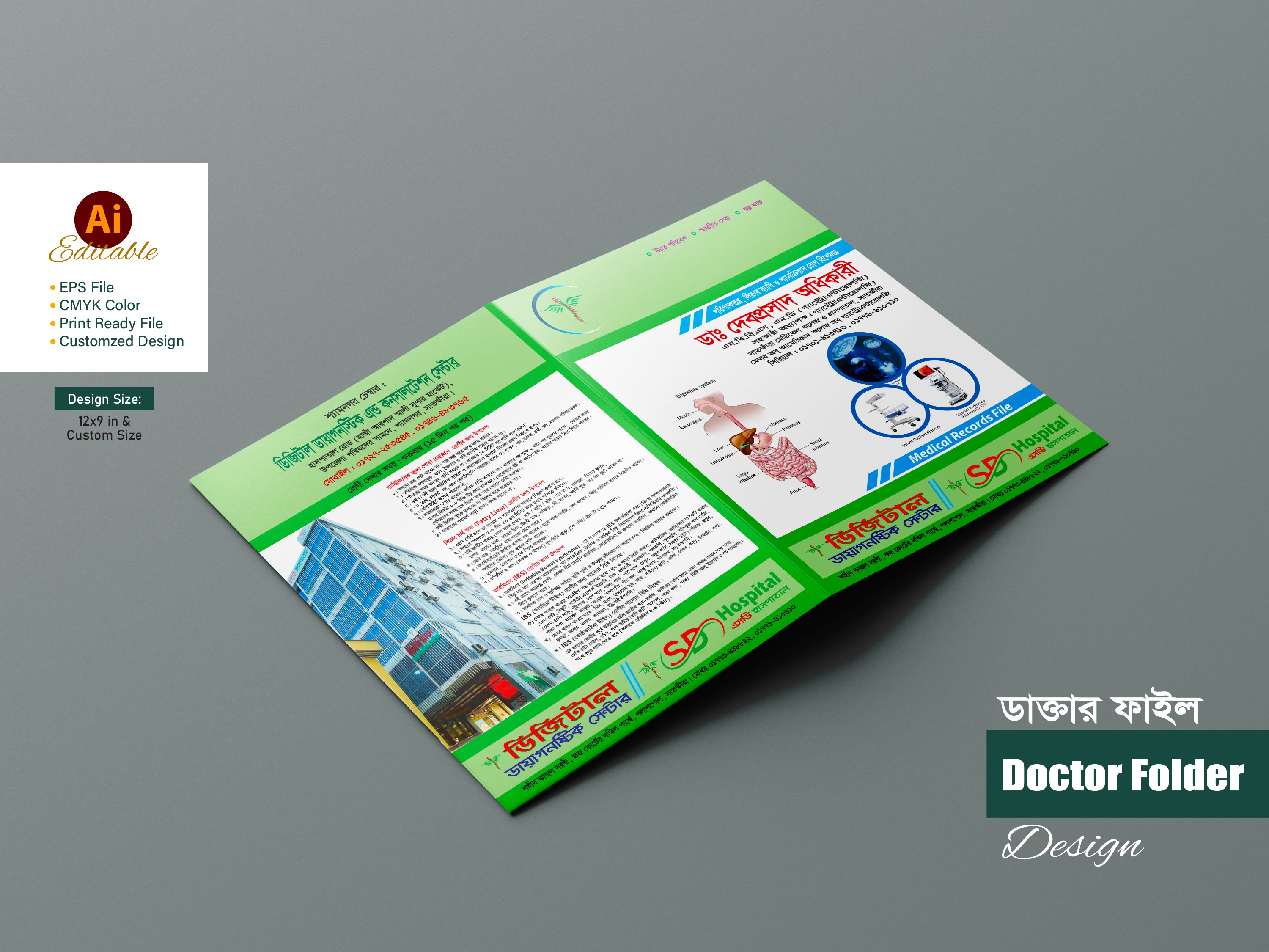 Doctor Folder Template