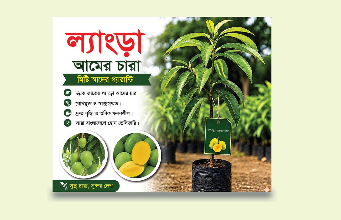 ল্যাংড়া আমের চারা সোশ্যাল মিডিয়া পোস্টার ডিজাইন